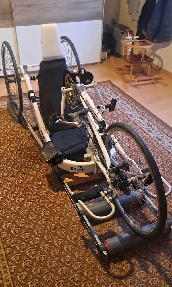 Foto Handbike Sopur
