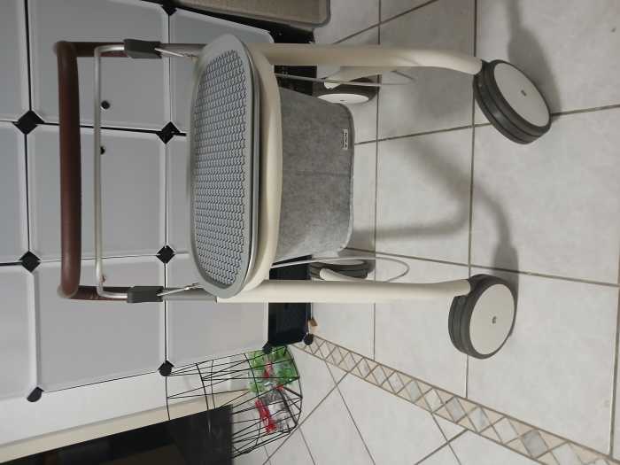 Foto Skandinavia Rollator /Home Butler