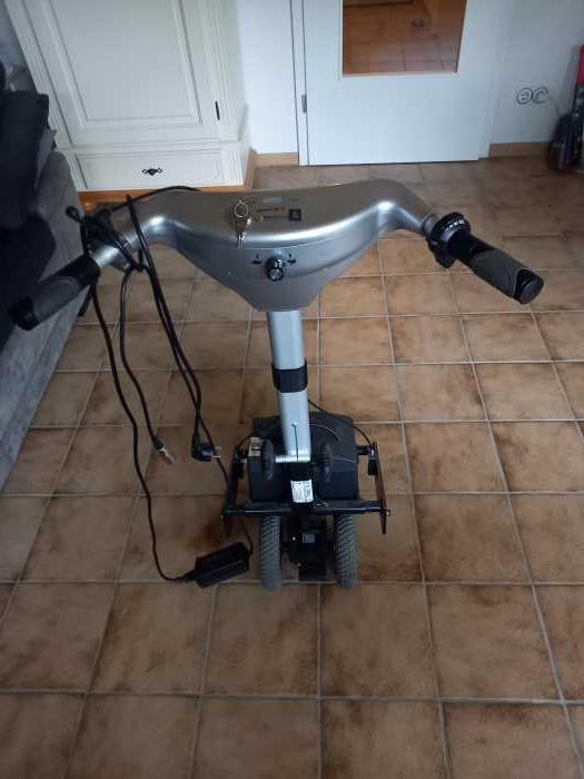Foto Brems-und Schiebehilfe für Rollstuhl