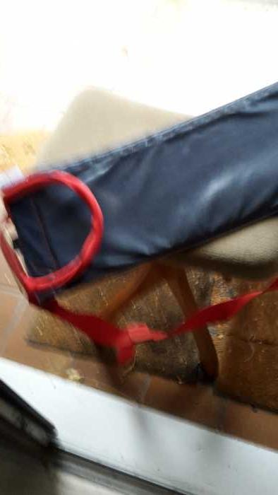 Foto Petermann Transferhilfe