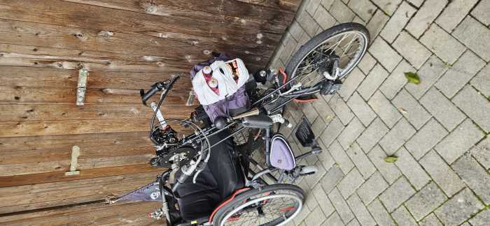 Foto Handbike mit 2 Akkus