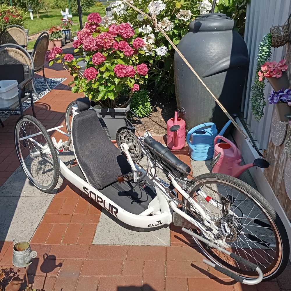 Foto Handbike von Sopur Typ Shark