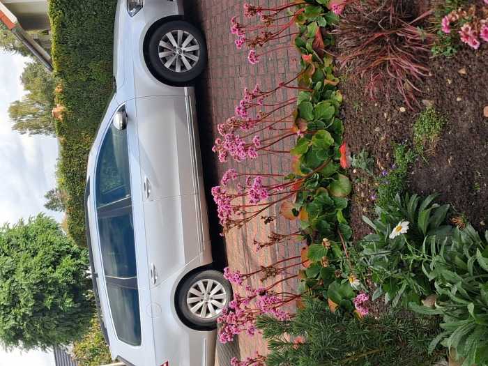 behindertengerechtes-auto-gebraucht Auto mit Rollstuhlverladegerät