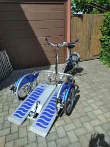 Foto Rollstuhlfahrrad van Raam Velo plus, Elektrofahrra