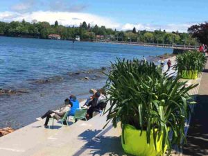 Das Foto zeigt den Strand der hinteren Lindauer Insel auf der Gartenschau.